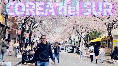 10 cosas que debes saber antes de viajar a COREA del SUR