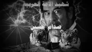 الشاعر حامد زيد و رثاء صدام حسين