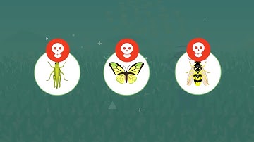 TUDelft  PHOCUS 2020   Project Promotion Video English 1080p