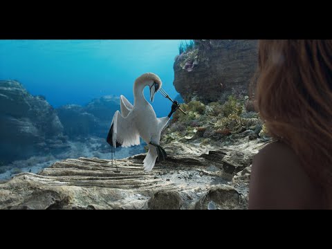 The Little Mermaid | VFX Breakdown | Framestore