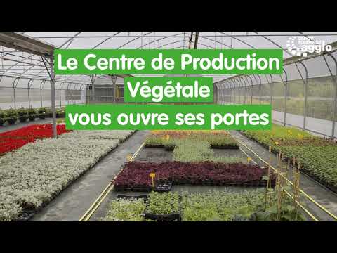 Journée Portes ouvertes au Centre de Production Végétale de Cergy-Pontoise