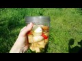 Мой ЗЕЛЕНЫЙ КОКТЕЙЛЬ || Как не поломать Нутрибуллит (Nutribullet) | Дикоросы в зеленый коктейль