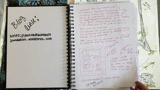 Famous FMP sketchbook work Net Worth