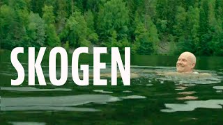 Skogen Trailer - Official Trailer Dekkoocom Stream Great Gay Movies