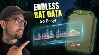 How to Monitor Bats in Your Sleep