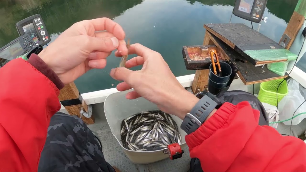 2026年2月14日　伊自良湖ワカサギ釣り