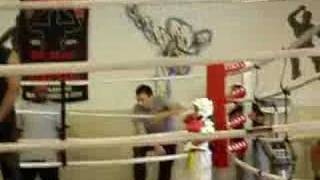 Tiny Tigers Kickboxing