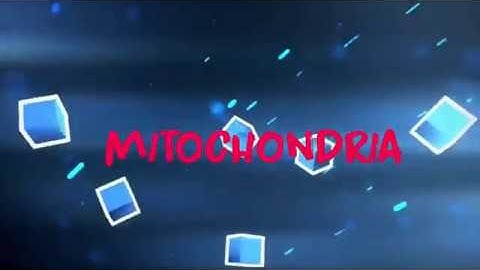 Assassin Cross - Weapon Test +7 Inverse Scale