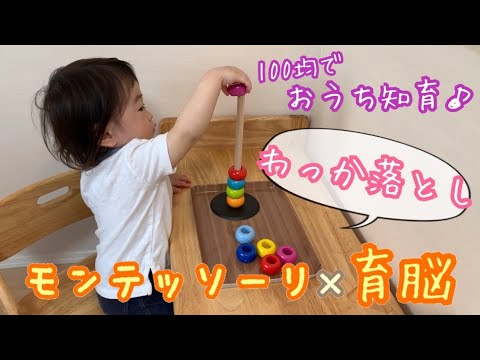 モンテッソーリ 育脳 手作り知育おもちゃ ０歳１歳２歳 輪っか落とし 100均ですぐに簡単にできるおうち知育遊び 知育玩具 知育動画 手作りおもちゃ Youtube