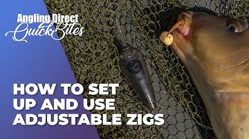 How To Set Up And Use Adjustable Zigs - Carp Fishing Quickbite