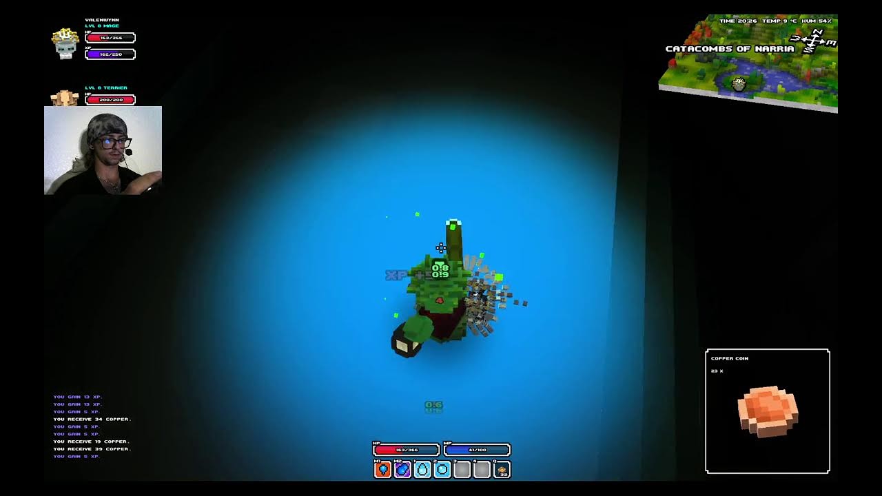 Cube World Alpha Gameplay
