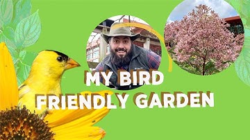 My Bird Friendly Garden: Joe Pye Weed