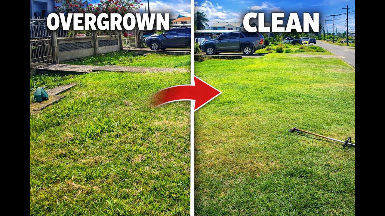 Satisfying Yard Clean up Timelapse| Professional Landscaping in Guyana