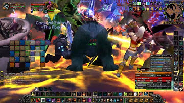 Turtle WoW - AQ40 - Feral Druid Tank / Healer