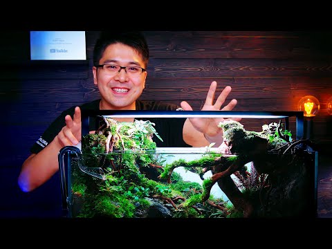 TOKYO AQUASCAPING UNION SHOWCASE - STEVEN CHONG 60P PLANTED TANK BUILD