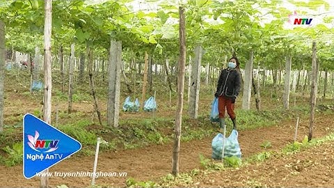 Gỡ “nút thắt” về góp vốn điều lệ hợp tác xã