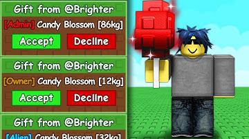 Begging Until I Get ADMIN Candy Blossom