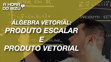 PRODUTO ESCALAR E VETORIAL - Álgebra Vetorial - A Hora do Bizu