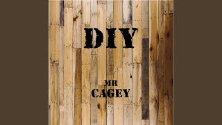 Video thumbnail of "Mr Cagey - Magpie"