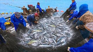 Intense Fishing!Tuna Schools!Amazing Harvest from Fixed Fishing Grounds_千萬漁場！直擊鮪魚群！三和定置漁場捕撈-台東海鮮