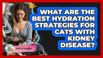 What Are The Best Hydration Strategies For Cats With Kidney Disease? - Happy Cat Handbook