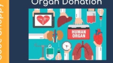 Organ Sharing App - Donar Finder Mobile Applications