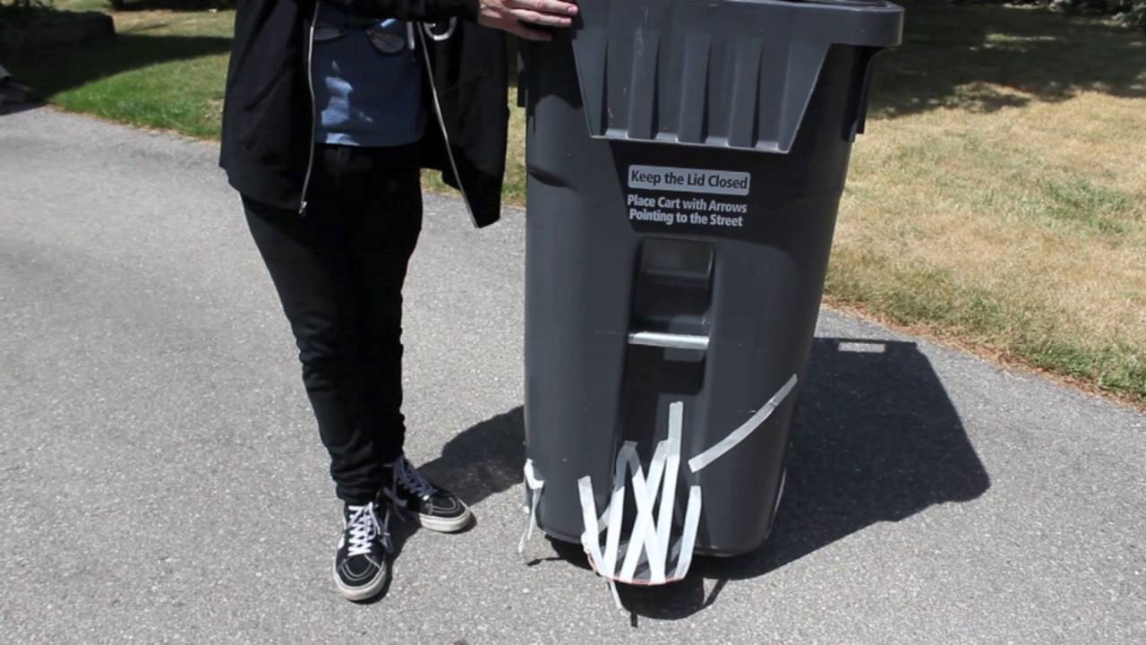 THE JUMP (CRAZY STUNT!)