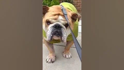 Not happy