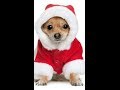 산타 할아버지 우리 마을에 트로트문 Trot Moon 캐롤 C Eb Christmas Carol Songs 산타 할아버지 우리 마을에 트로트문 Trot Moon 캐롤 C Eb Christmas Carol Songs