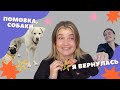 я вернулась/помовка, собаки, что нового?