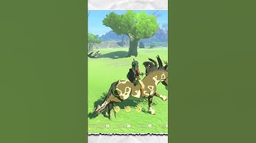 THE Most Addictive Game of 2023 (Part 10/11) #gaming #nintendo #zelda