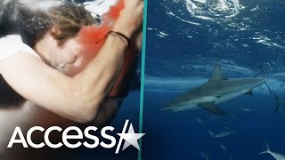 'Jackass' Star Suffers Bloody Shark Bite While Attempting Dangerous 'Shark Week' Stunt