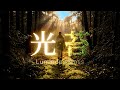 光苔 – Luminous Celtic Healing in Major Key | Moss Cathedral