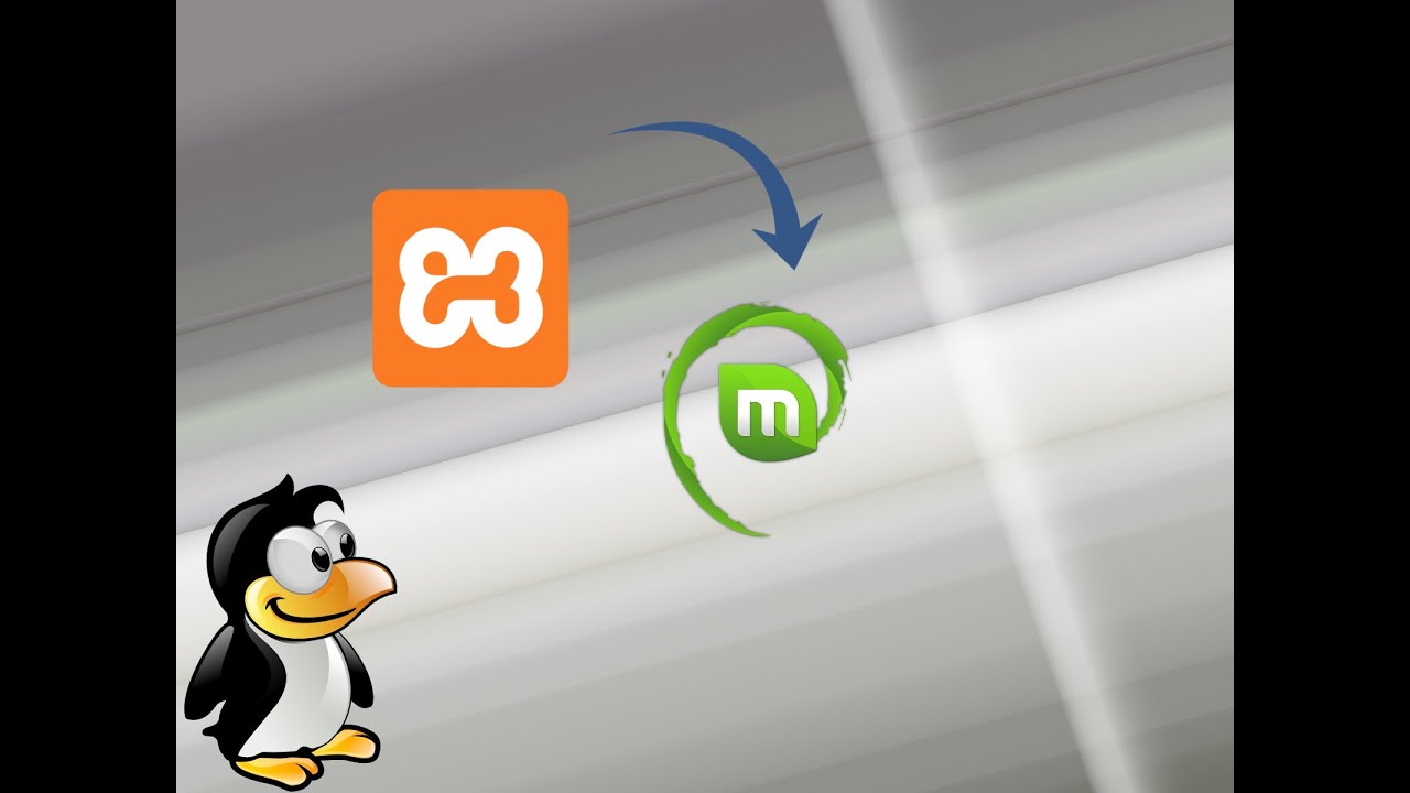 Bagaimana caranya instal xampp versi 7 4 1064bit di linux mint 19 1