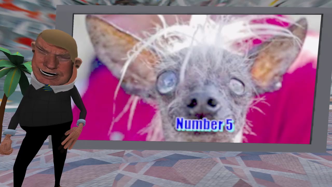 ZYLDAD ANIMATED - Top 15 Dogs That Are Ugly