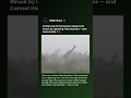 A Giraffe in a Storm Is the Tallest Thing for Miles — and Lightning Knows It #shorts #giraffe