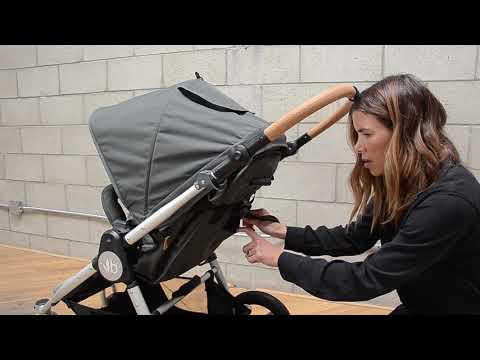 Bumbleride Era - всесезонная прогулочная коляска с реверсивным сиденьем