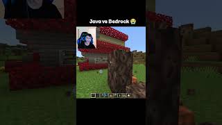 Java vs Bedrock! use this audio 😭