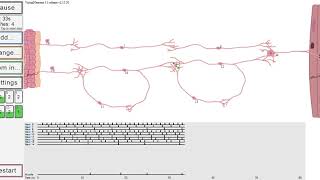 My Virtual Neuron Project