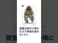 【神回】ボケてに本気でアフレコしてみた結果wwwwwwww part65 【みうる】【とられぎ】#shorts