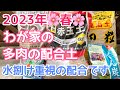 【vlog319】【多肉植物】2023年春