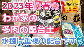 【vlog319】【多肉植物】2023年春