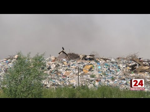Вреден ли для