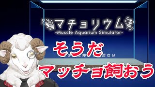 【マチョリウム】マッチョを育てながら喋る【羊野ニック】