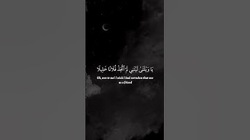 " ويوم يعض الظالم على يديه " تلاوة من سورة الفرقان | القارئ: عبدالعزيز الفقيه