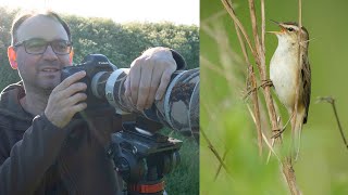 How to Photograph Warblers  Photography Tips, Techniques & Settings In the Field