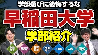 【留学が必須】全学部紹介！早稲田大学の学部別特徴を徹底解説【後編】