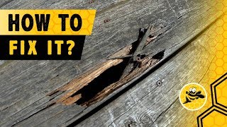 How to  Repair Damaged Deck Boards That Rot or Have Holes