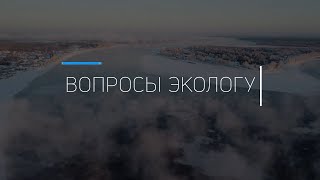 «Вопросы экологии»: что может спасти экологию в Красноярске