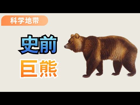 Today, I will show you the biggest giant bear in history